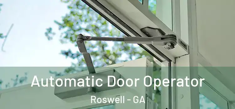  Automatic Door Operator Roswell - GA