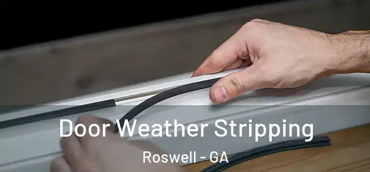  Door Weather Stripping Roswell - GA