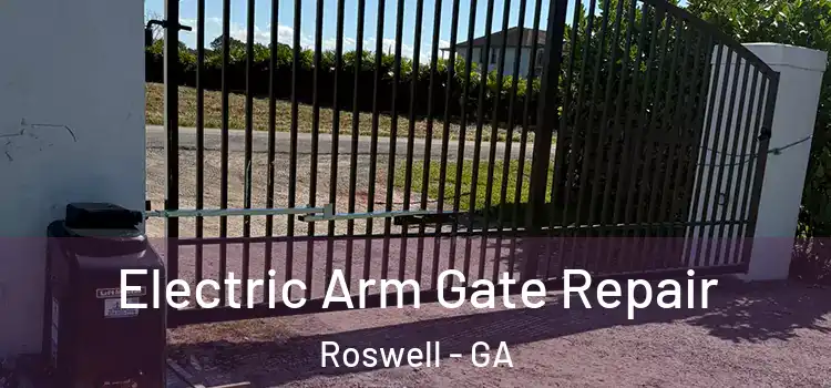  Electric Arm Gate Repair Roswell - GA