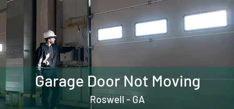  Garage Door Not Moving Roswell - GA