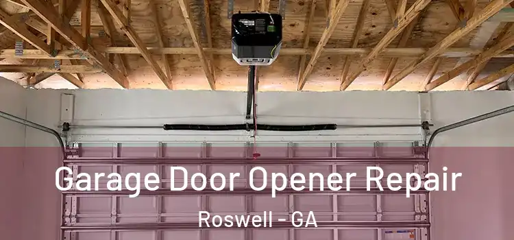  Garage Door Opener Repair Roswell - GA