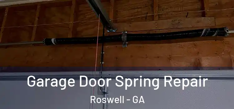  Garage Door Spring Repair Roswell - GA