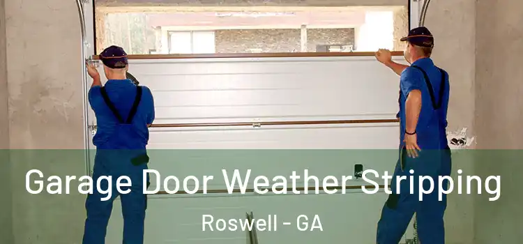  Garage Door Weather Stripping Roswell - GA