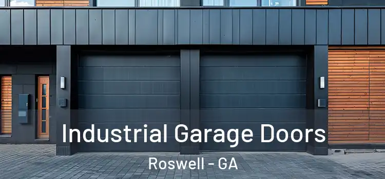  Industrial Garage Doors Roswell - GA