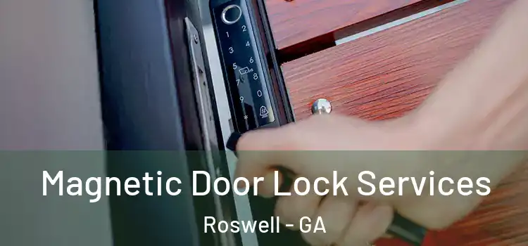 Magnetic Door Lock Services Roswell - GA
