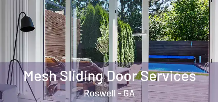 Mesh Sliding Door Services Roswell - GA
